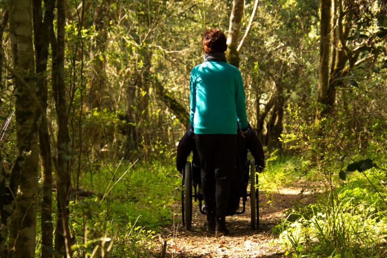 IMG 4693smaller a 768x512